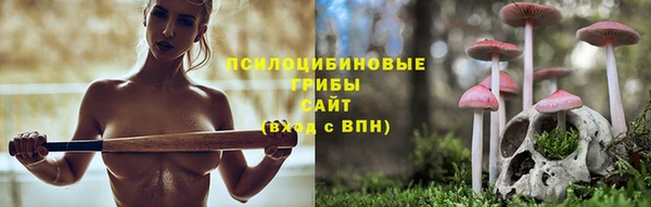 твердый Белокуриха